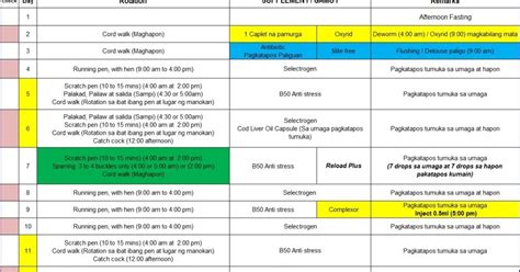 21 days conditioning method for gamefowl